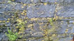 acastle
                          105400.jpg